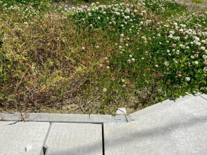 鈴鹿市北玉垣町、土地の外観画像です