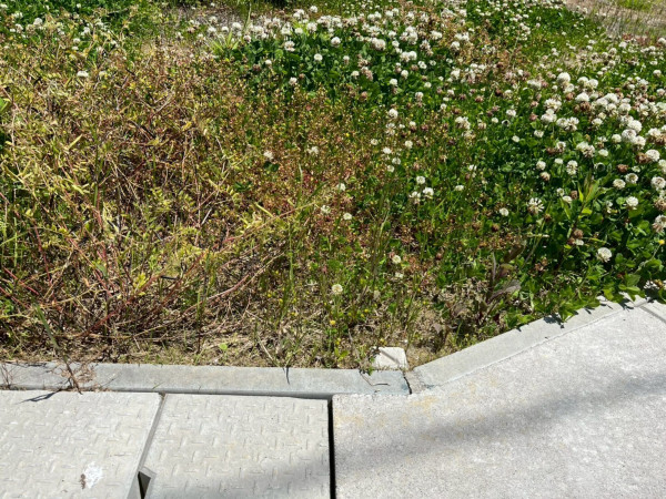鈴鹿市北玉垣町、土地の外観画像です