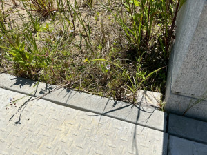 鈴鹿市北玉垣町、土地のその他画像です