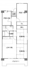 宇部市文京町、マンションの間取り画像です