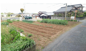 宇部市大字東岐波、土地の外観画像です
