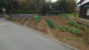 宇部市大字東岐波、土地の外観画像です