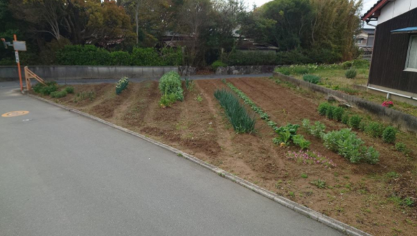 宇部市大字東岐波、土地の外観画像です