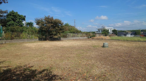 宇部市大字東岐波、土地の外観画像です