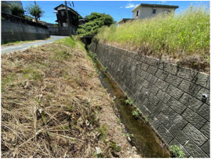 宇部市大字西岐波、土地の前面道路を含む現地写真画像です