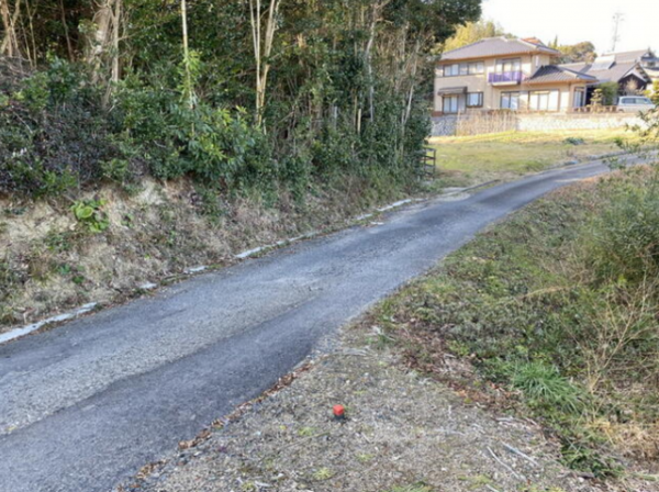 宇部市大字東岐波、土地の画像です