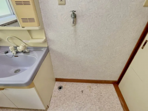 宇部市大字東岐波、中古一戸建ての洗面画像です