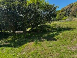 宇部市大字中山、中古一戸建ての画像です