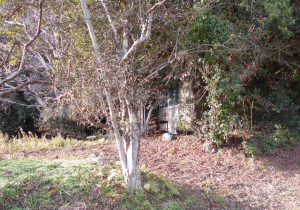 宇部市大字車地、中古一戸建ての外観画像です