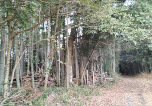 宇部市大字車地、中古一戸建ての外観画像です