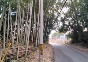 宇部市大字車地、中古一戸建ての外観画像です