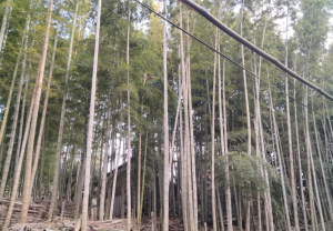 宇部市大字車地、中古一戸建ての外観画像です