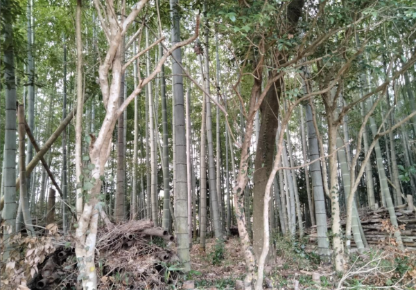 宇部市大字車地、中古一戸建ての外観画像です