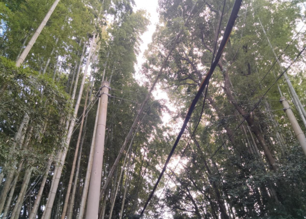 宇部市大字車地、中古一戸建ての外観画像です