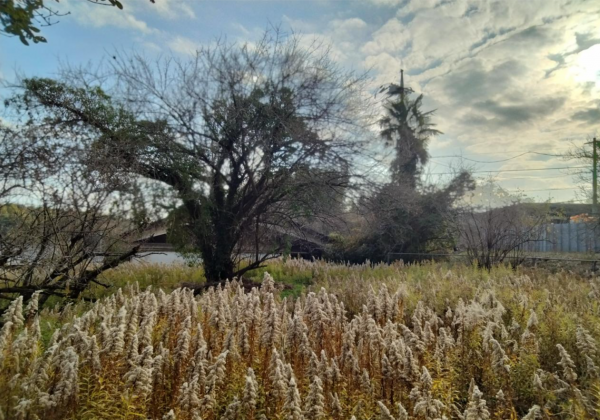 宇部市大字車地、中古一戸建ての外観画像です