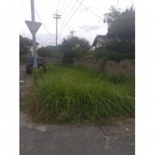 山陽小野田市大字山川、土地の前面道路を含む現地写真画像です