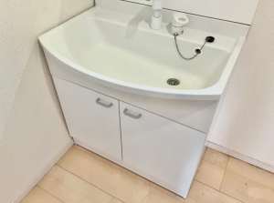 山陽小野田市北竜王町、中古一戸建ての洗面画像です