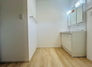 山陽小野田市大字鴨庄、新築一戸建ての洗面画像です