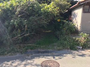 宇部市大字西岐波、土地の外観画像です