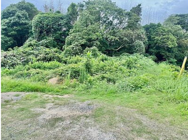 宇部市大字東岐波、土地の外観画像です