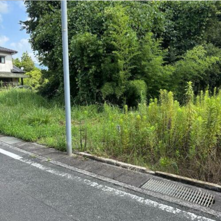 山陽小野田市大字山川、土地の前面道路を含む現地写真画像です