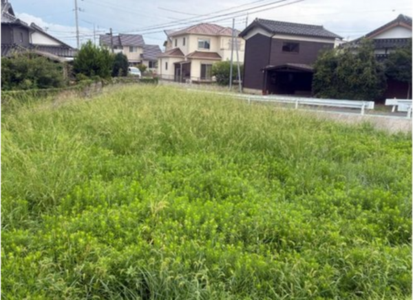 宇部市大字東岐波、土地の外観画像です