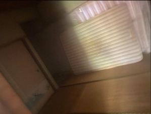 山陽小野田市大字西高泊、土地の内装画像です