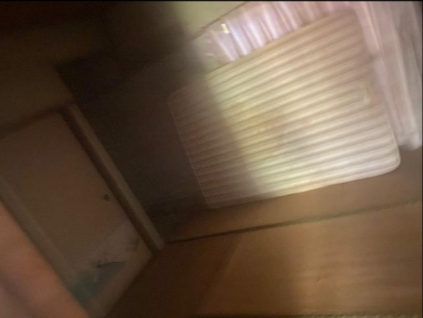 山陽小野田市大字西高泊、土地の内装画像です