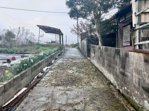 宇部市大字東岐波、土地の前面道路を含む現地写真画像です