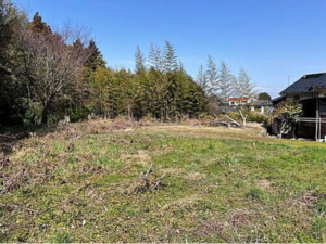 宇部市大字西岐波、土地の外観画像です