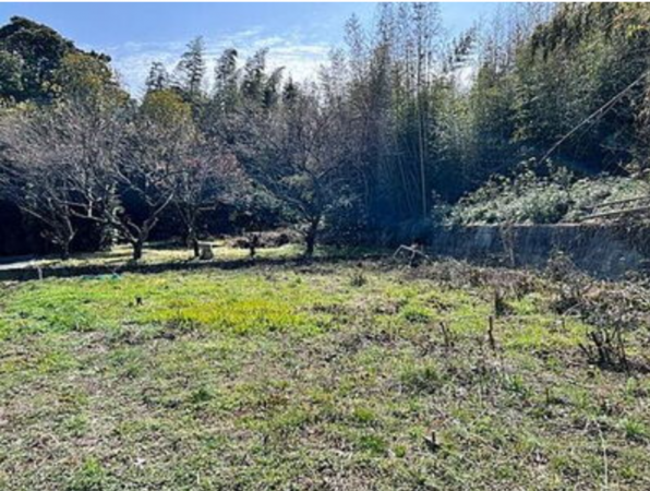 宇部市大字西岐波、土地の外観画像です