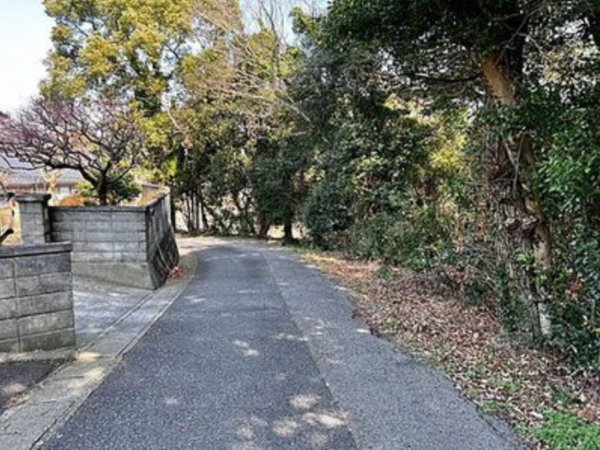 宇部市大字西岐波、土地の前面道路を含む現地写真画像です