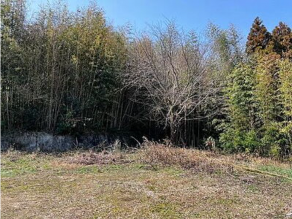 宇部市大字西岐波、土地の外観画像です