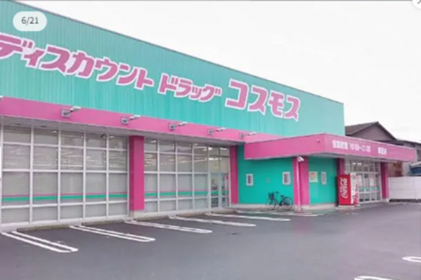 宇部市笹山町、中古一戸建てのドラッグストア画像です