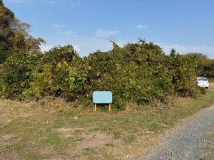 宇部市大字東須恵、土地の外観画像です