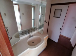 山陽小野田市共和台、中古一戸建ての洗面画像です