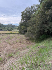 宇部市大字上宇部、土地の外観画像です