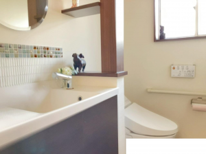 宇部市大字妻崎開作、中古一戸建ての洗面画像です