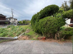 宇部市大字東須恵、土地の画像です