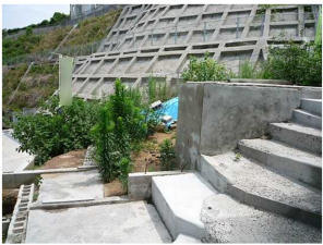 広島市南区仁保、土地の画像です