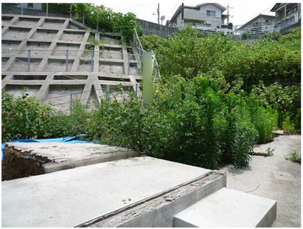 広島市南区仁保、土地の画像です