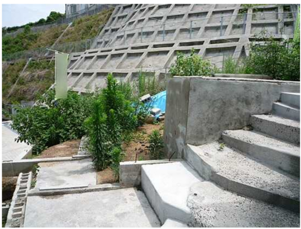 広島市南区仁保、土地の画像です