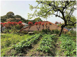 広島市南区元宇品町、土地の画像です