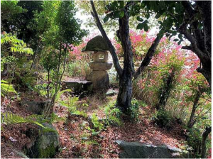 広島市南区元宇品町、土地の画像です