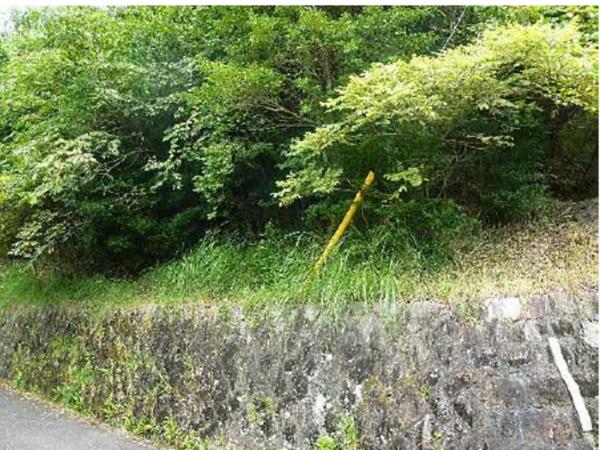 広島市東区温品町、土地の画像です