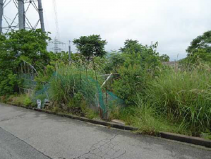 広島市東区馬木、土地の画像です