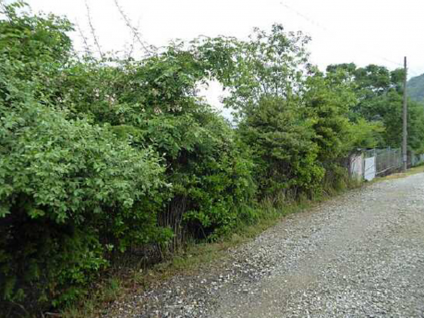 広島市東区馬木、土地の画像です