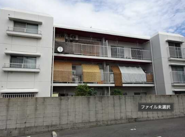 広島市南区西霞町、マンションの画像です