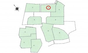 呉市三和町、土地の間取り画像です