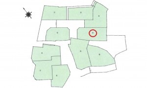 呉市三和町、土地の間取り画像です